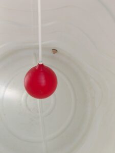 WhatsApp Image 2026-04-03 at 10.02.16 PM